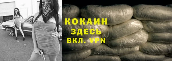 крисы Осинники