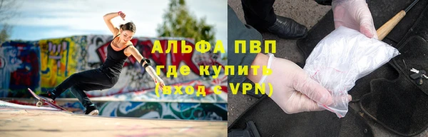 прущие грибы Осташков
