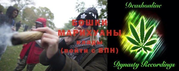 крисы Осинники
