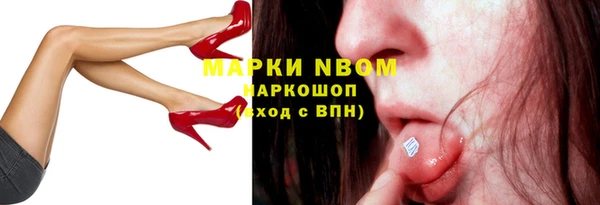 прущие грибы Осташков