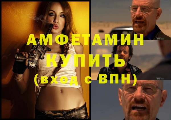 крисы Осинники