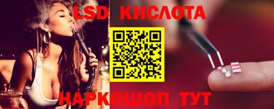 эйфоретик Берёзовский