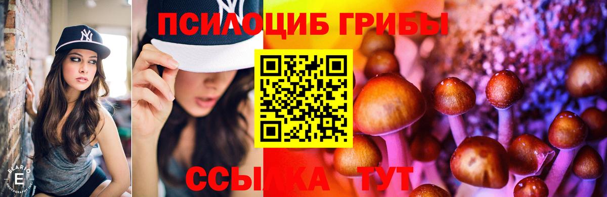 Псилоцибиновые грибы мухоморы  Вязьма 