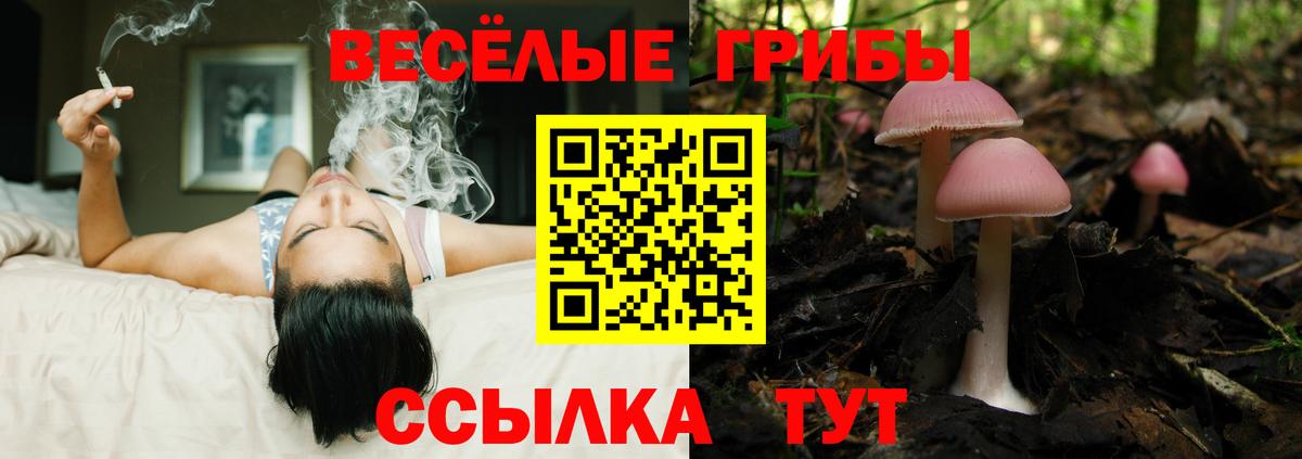 Галлюциногенные грибы мицелий  Вход с VPN  Вязьма 